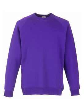 Kinder Raglan Sweatshirt ~ Purple 104