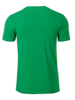 Herren T-Shirt aus Bio-Baumwolle ~ fern-grn XXL